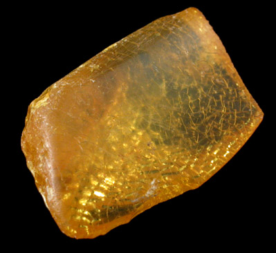 Amber from Baltic Sea, near Gdansk, Poland