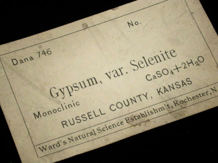 Gypsum var. Selenite from Russell County, Kansas