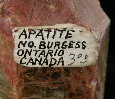 Fluorapatite from North Burgess, Ontario, Canada