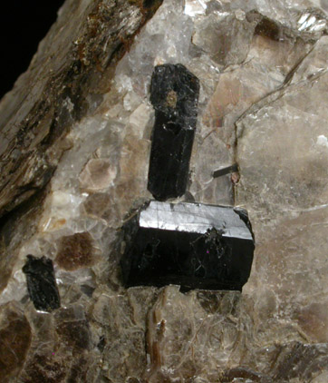 Schorl Tourmaline in Muscovite from Francestown, Hillsborogh County, New Hampshire