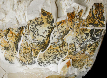 Kaolinite with dendritic patterns from Vance County, North Carolina