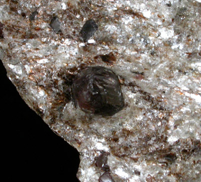 Almandine Garnets in schist from western footing of the Verrazano Narrows Bridge, Staten Island, New York City, New York