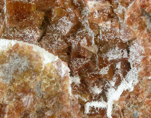 Scolecite on Chabazite from Kibblehouse Quarry, Perkiomenville, Montgomery County, Pennsylvania