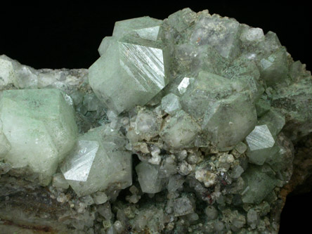 Apophyllite with Chlorite inclusions from New Street Quarry, Paterson, Passaic County, New Jersey
