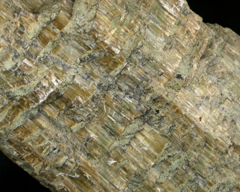 Clinochrysotile from Blue Hill School, Delaware County, Pennsylvania