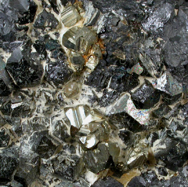 Magnetite with Pyrite from Cornwall Iron Mines, Cornwall, Lebanon County, Pennsylvania