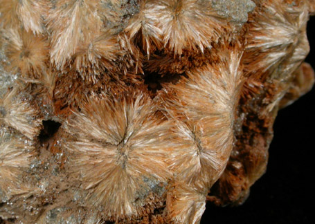 Anthophyllite from Wissahickon Creek, Fairmount Park, Philadelphia, Pennsylvania