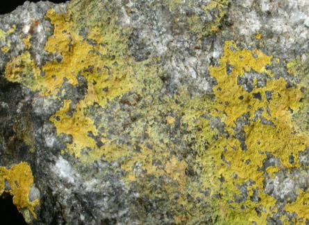 Carnotite from Old uranium prospects, Mount Pisgah, Jim Thorpe, Carbon County, Pennsylvania