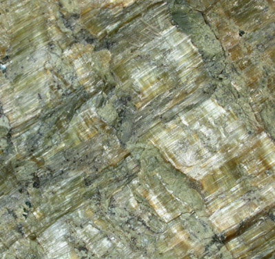 Clinochrysotile from Blue Hill School, Delaware County, Pennsylvania