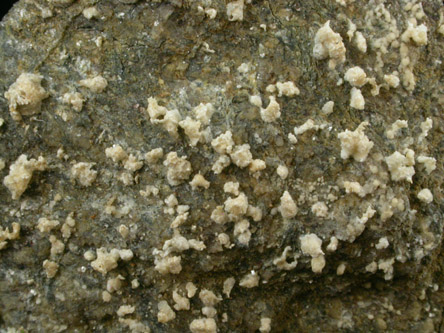 Halotrichite from School Lane and Ridge Avenue, Philadelphia County, Pennsylvania