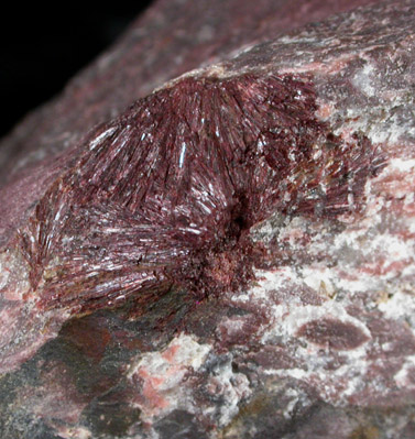 Piemontite from M. Wills Rhyolite Quarry, Greenstone, Adams County, Pennsylvania