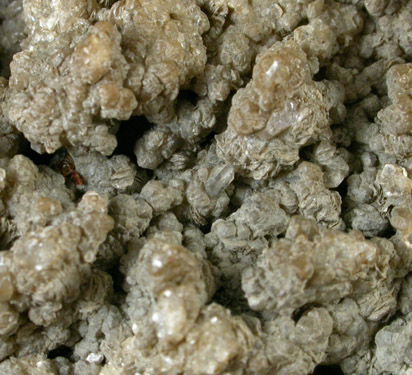 Cookeite from Hebron, Oxford County, Maine (Type Locality for Cookeite)