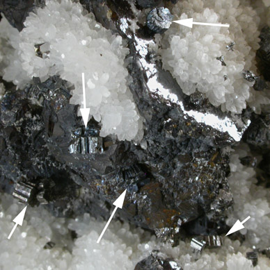 Bournonite and Sphalerite on Quartz from Bansk Stiavnica (Schemnitz), Bansk Bystrica, Stiavnicke Mountains, Slovak Republic (Slovakia)