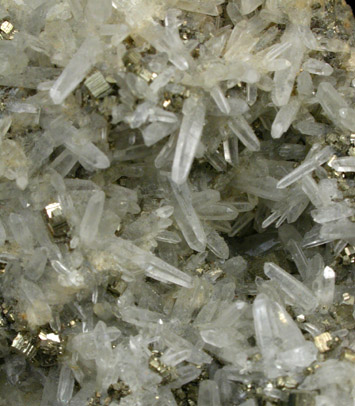 Pyrite on Quartz from Eagle County, Colorado