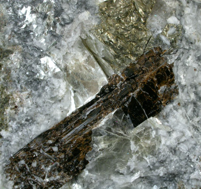 Titanite and Pyrite from Indian Lake, Hamilton County, New York