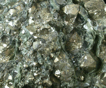 Pyrite in Actinolite from Grace Mine, Morgantown, Berks County, Pennsylvania