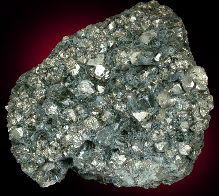 Pyrite in Actinolite from Grace Mine, Morgantown, Berks County, Pennsylvania