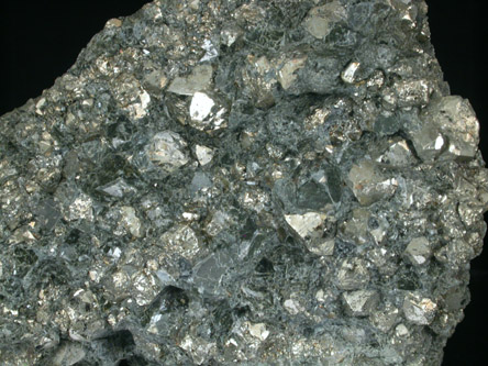 Pyrite in Actinolite from Grace Mine, Morgantown, Berks County, Pennsylvania