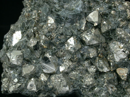 Pyrite in Actinolite from Grace Mine, Morgantown, Berks County, Pennsylvania