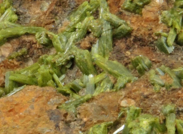 Pyromorphite from Wheatley Mine, Phoenixville District, Chester County, Pennsylvania