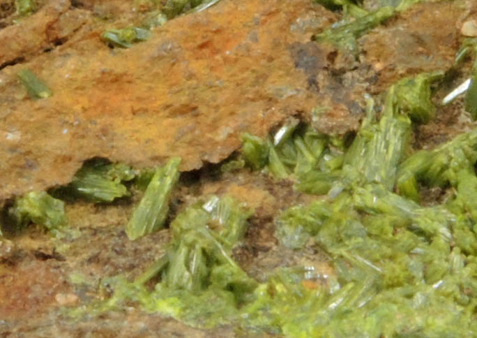 Pyromorphite from Wheatley Mine, Phoenixville District, Chester County, Pennsylvania