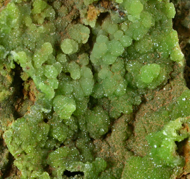 Pyromorphite, Galena from Wheatley Mine, Phoenixville, Chester County, Pennsylvania