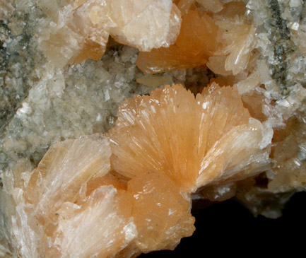 Stilbite from Moore's Station Quarry, 44 km northeast of Philadelphia, Mercer County, New Jersey