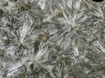 Stilbite from Barber's Quarry at Church and Leiper Streets, Frankford, Philadelphia County, Pennsylvania