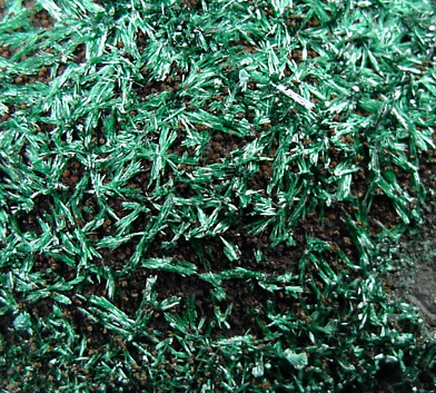 Malachite from Bisbee, Warren District, Cochise County, Arizona