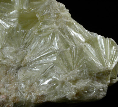 Pyrophyllite-2M from Mitchell County, North Carolina