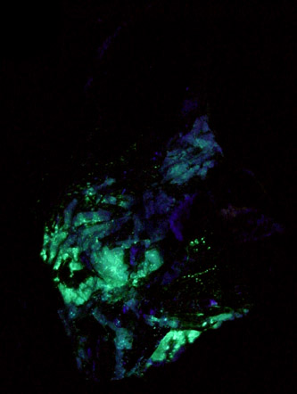 Autunite in Muscovite and Albite from Ramblin' Ranch, Campton, Grafton County, New Hampshire