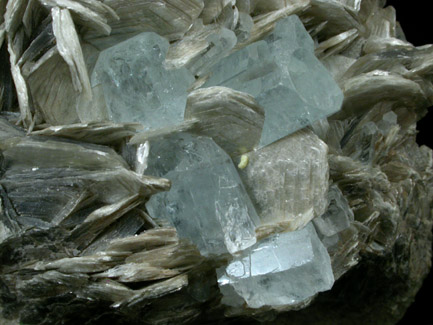 Beryl var. Aquamarine with Muscovite from Dusso, Gilgit District, Gilgit-Baltistan, Pakistan