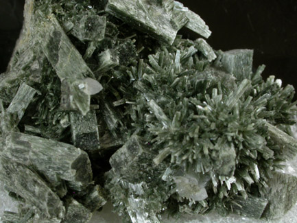 Actinolite pseudomorphs after Augite (Uralite) from Calumet Mine, 12 km NNE of Salida, Chaffee County, Colorado