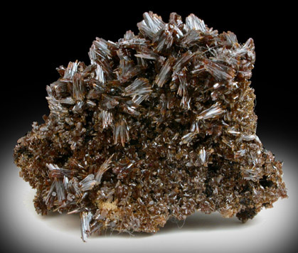 Vanadinite var. Endlichite from Apex Mine, San Carlos, Manuel Benavides, Chihuahua, Mexico