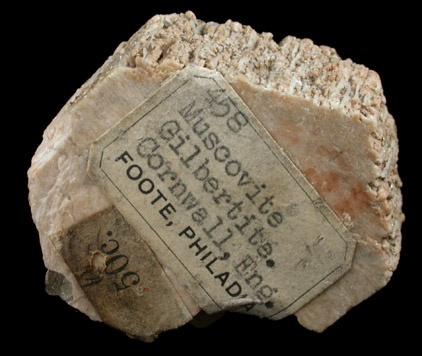 Muscovite pseudomorph after Topaz (a.k.a. Gilbertite) from Cornwall, England