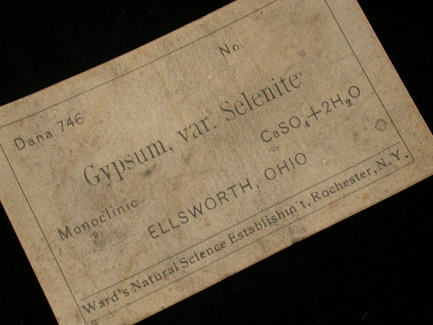 Gypsum var. Selenite from Ellsworth, Mahoning County, Ohio