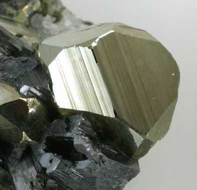 Enargite and Pyrite from Butte Mining District, Summit Valley, Silver Bow County, Montana