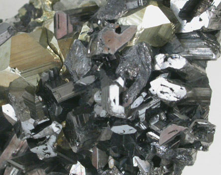 Enargite and Pyrite from Butte Mining District, Summit Valley, Silver Bow County, Montana