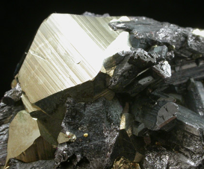 Enargite and Pyrite from Leonard Mine, Butte Mining District, Summit Valley, Silver Bow County, Montana