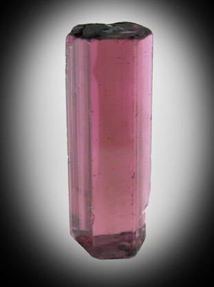 Elbaite var. Rubellite Tourmaline from Minas Gerais, Brazil