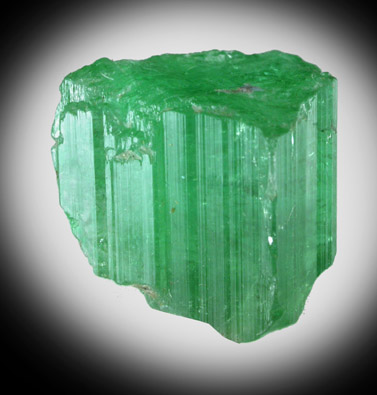 Elbaite Tourmaline from So Jos da Batalha, Paraba, Brazil