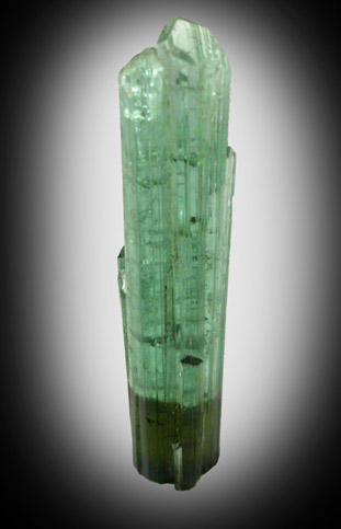 Elbaite Tourmaline from Minas Gerais, Brazil