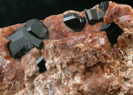 Buergerite Tourmaline from near Mexquitic, San Luis Potosi, Mexico (Type Locality for Buergerite)