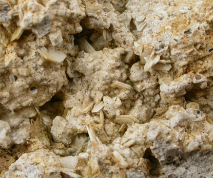 Tridymite from Mount San Pietro, Italy