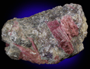 Elbaite var. Rubellite Tourmaline with Lepidolite from Minas Gerais, Brazil