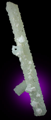 Prehnite pseudomorph after Laumontite with Apophyllite from Bombay Quarry, Mumbai (Bombay), Maharastra, India