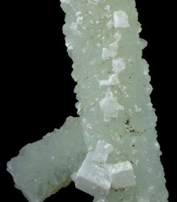 Prehnite pseudomorph after Laumontite with Apophyllite from Bombay Quarry, Mumbai (Bombay), Maharastra, India