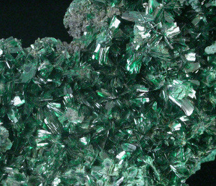 Atacamite from Mina la Farola, Copiapo, Atacama Desert, Chile (Type Locality for Atacamite)