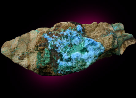 Cyanotrichite with Brochantite from Mina Vieja, Potrerillos, Atacama, Chile