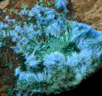 Cyanotrichite with Brochantite from Mina Vieja, Potrerillos, Atacama, Chile